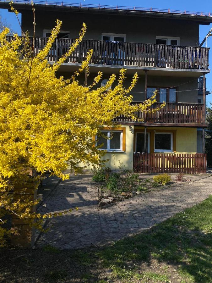 Goscinne Kurza Zagroda Apartment *